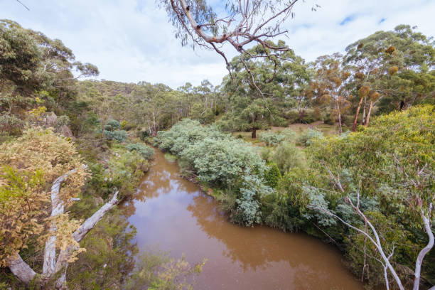 istock Plenty Gorge Parklands in Australia 2151418466