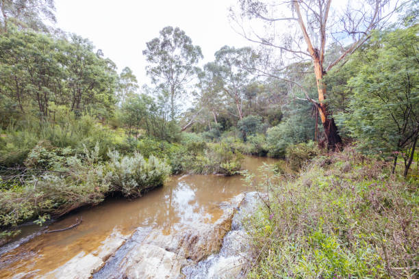 istock Plenty Gorge Parklands in Australia 2151418469