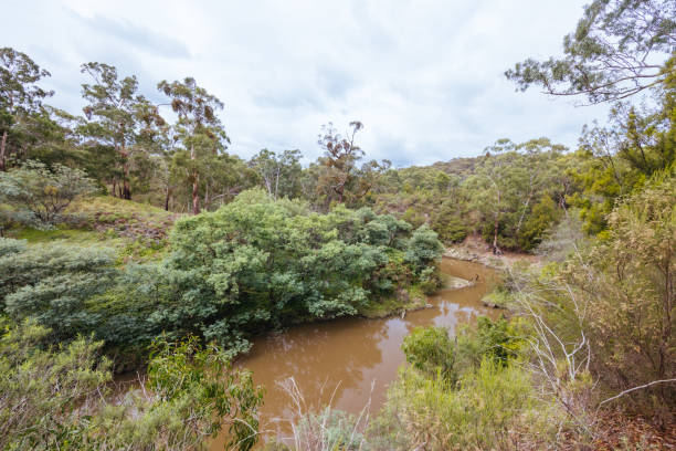 istock Plenty Gorge Parklands in Australia 2151418470