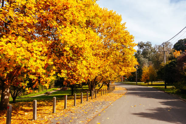 istock Lilydale to Warburton Rail Trail in Australia 2151418507