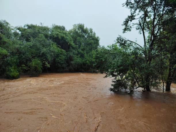 istock Flood through the trees, southern Brazil 2151420897