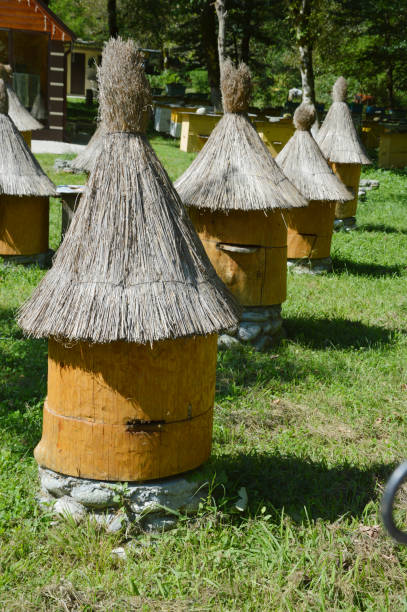 istock Mountain apiary with round wooden hives under thatched roofs. 2151422868