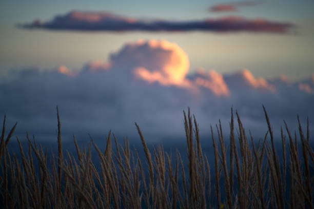 Hilly spring landscape of Montefeltro against cloudy sky at sunset