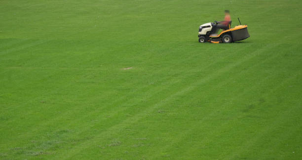 istock Lawn mower on green grass 2151429843