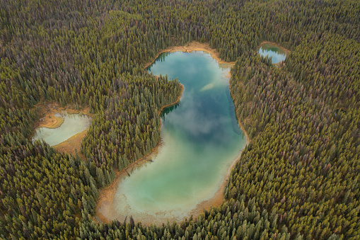 Aerial view of the lakes of Lorraine, surrounded by thousands of trees, the sky is reflected in the lakes on a cloudy day. Jasper National Park, Canada.