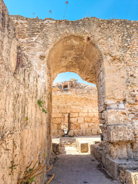 istock Archaeological site of Carthage, Tunisia 2151430532