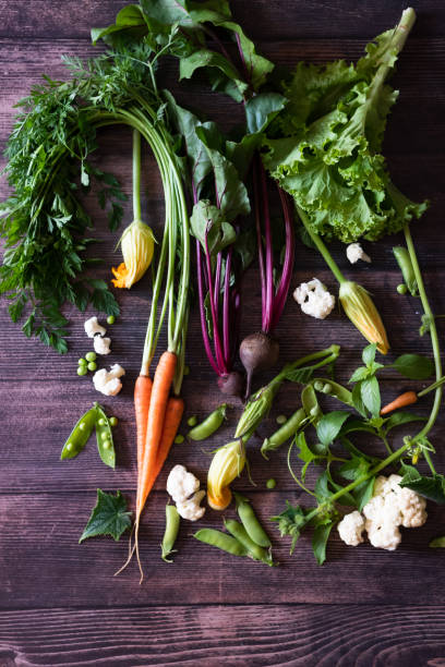 Flat Stacking series assorted green tinted Vegetables, Fresh Organic raw products