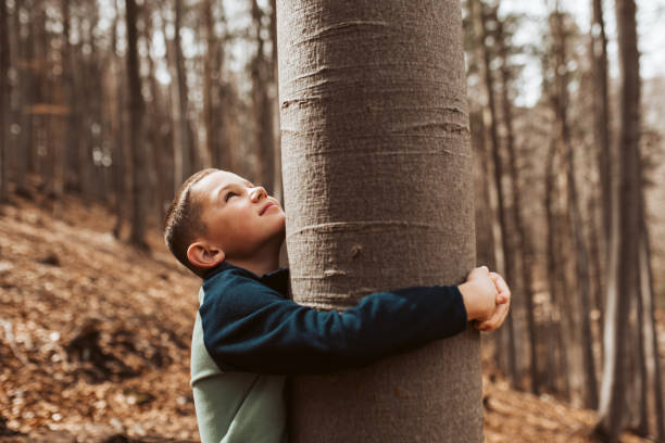 Cute boy on walk in forest, hugging a tree, enjoying the peaceful moment, looking up at tree crown. Child connected with nature.