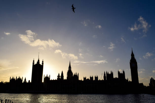 Palace of Westminster in silhouette.