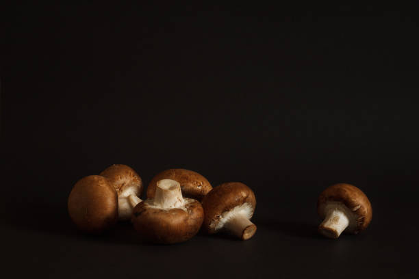 istock Mushrooms Royal champignon 2151434771