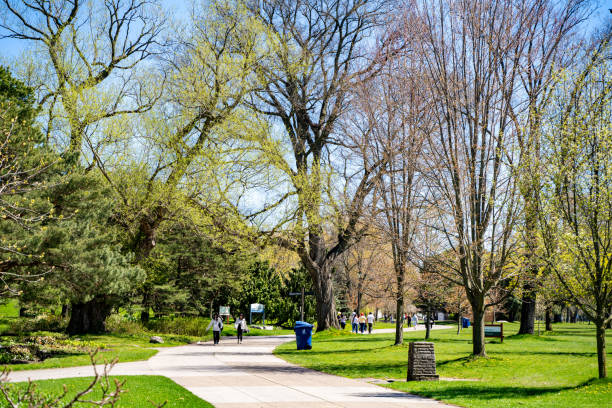 View of Toronto Center Island. Toronto, Canada - April 30, 2024.