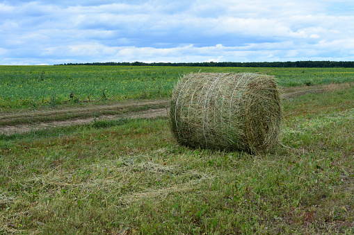 a large hay bale is in a field with clouds in the background