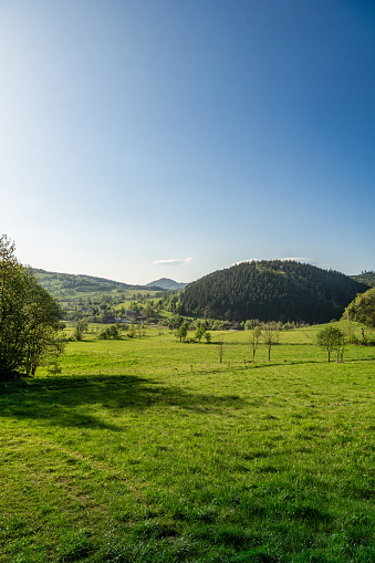 In the foreground, a vast expanse of green grass stretches out with multiple trees scattered throughout. In the background, towering mountains rise against the sky, creating a picturesque natural scene.