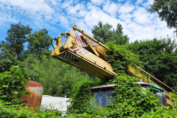 Abandoned and old rusty crane in a port area.