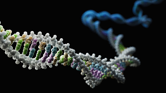 DNA Helix - 3d rendered image. Genetic research concept. Complex spiral structure illustration. Medical, science, genetic biotechnology, gene cell, chromosome idea. DNA strands on dark background . Science nanotechnology.
