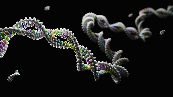 DNA Helix - 3d rendered image. Genetic research concept. Complex spiral structure illustration. Medical, science, genetic biotechnology, gene cell, chromosome idea. DNA strands on dark background . Science nanotechnology.