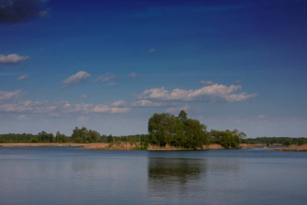Spring landscape at the lake on a sunny day, natural environment at the beginning of summer