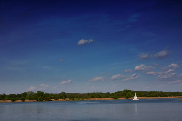 Spring landscape at the lake on a sunny day, natural environment at the beginning of summer