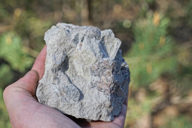 istock a man hand holds a small gray piece of stone 2151465772
