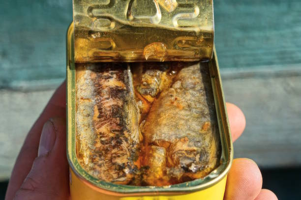 Overhead view of open sardine tin, great source of daily protein intake