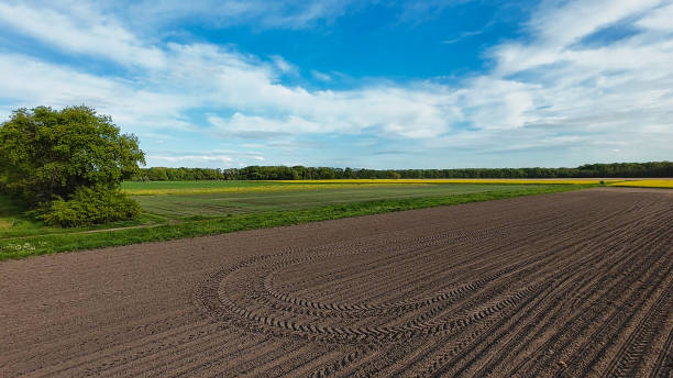 istock Dirt road cuts through grassy field under blue sky 4K FPV drone view Hanover Seelze Germany 2151467094