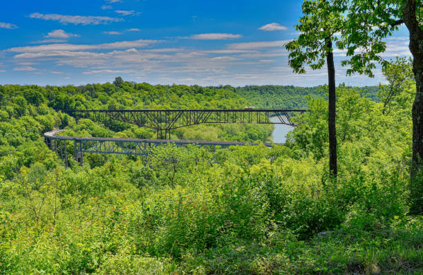 istock Lush vegetation surrounds a river valley crossed by an elevated train trestle and elevated highway 2151467375