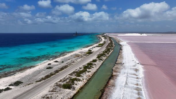 istock Salt Pier At Kralendijk In Bonaire Netherlands Antilles. 2151468643