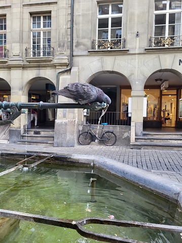 pigeon drinking from a fountain