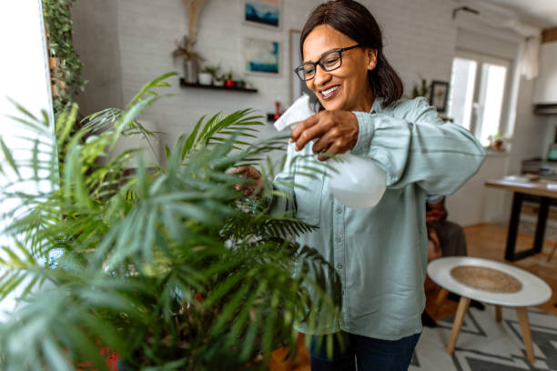 istock Woman spraying and nurturing house plants 2151474196