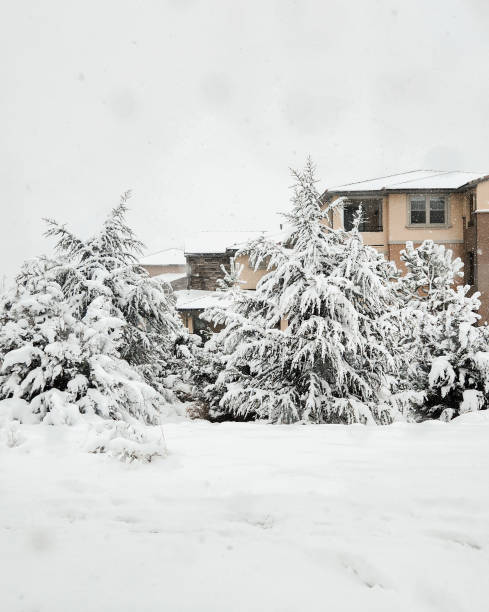 Street landscape in the morning with snow and nature