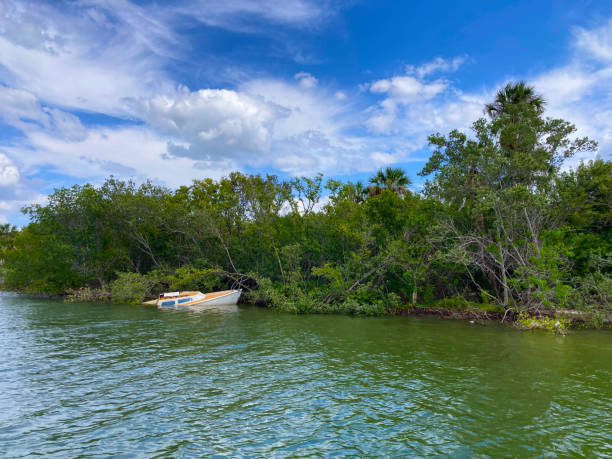 istock Half sunken submerged boat at the shore 2151479962