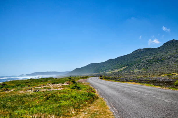 istock The wilderness of Cape Point National Park 2151480727