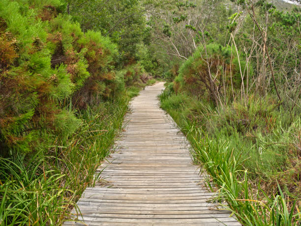 istock Mountain trails and roads - Western Cape 2151480743