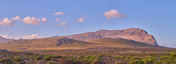 istock The wilderness of Cape Point National Park 2151480798