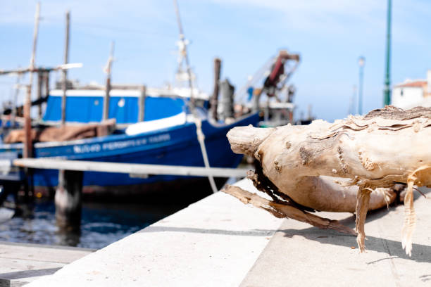istock Venetian fishing boat 2151489830