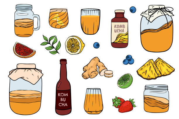 Kombucha tea and ingredients Kombucha tea and ingredients for kombucha. Kombucha fermented tea in glass jar and bottle with lemon and ginger. Kombucha drink. Tea mushroom, tea fungus kombucha jar stock illustrations