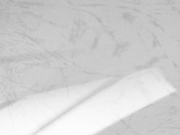 istock Shadow Background Abstract Leave Overlay Wall Floor Light Effect White Plant Sunlight Backdrop Mockup Minimal Spring Summer Nature Grey blur Photography Scene Template Poster Card Frame Product. 2151496422