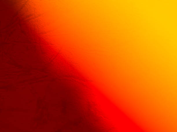 Summer Orange Background Shadow Texture Leaf Summer Autumn Wall Light Abstract Floor Wall Orange Brown Tree blue pastel Gradient Two Tone Bright Color Paper Stone, Orange Backdrop Frame Template.