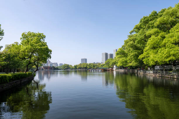 Free Stock Photo of Urban Lake Surrounded by Trees and Buildings ...