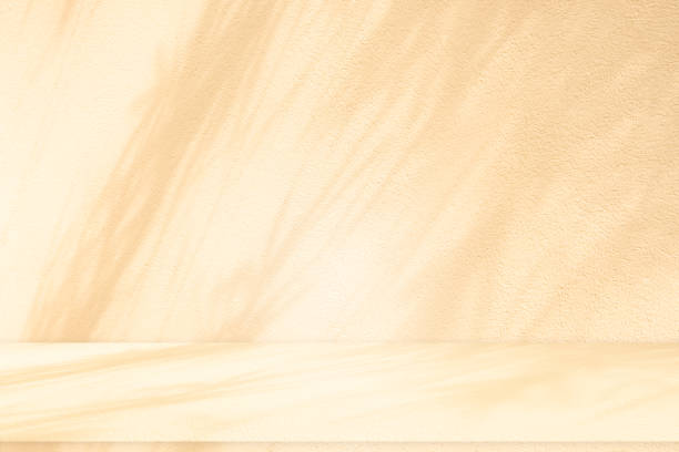 istock Wall interior background, studio and backdrops show leaf products.with shadow from window color beige and white. background for text insertion and presentation product 2151500990