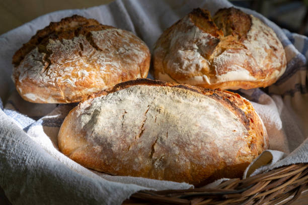 istock Loafs of homemade bread 2151506277
