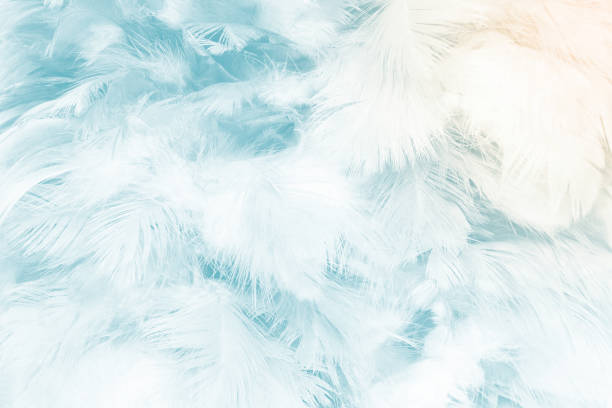 istock Beautiful  white green turquoise color trends feather pattern texture pastel background 2151507216