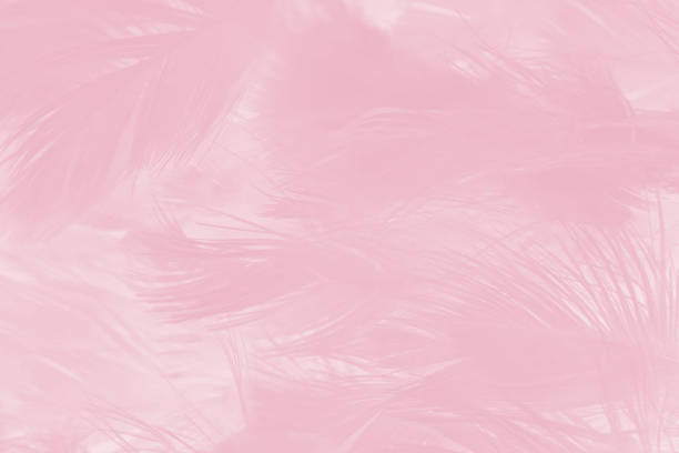 Beautiful violet feather pattern texture background , pastel color style