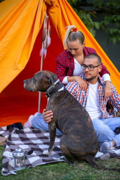 istock Happy young couple and their dog camping 2151508576