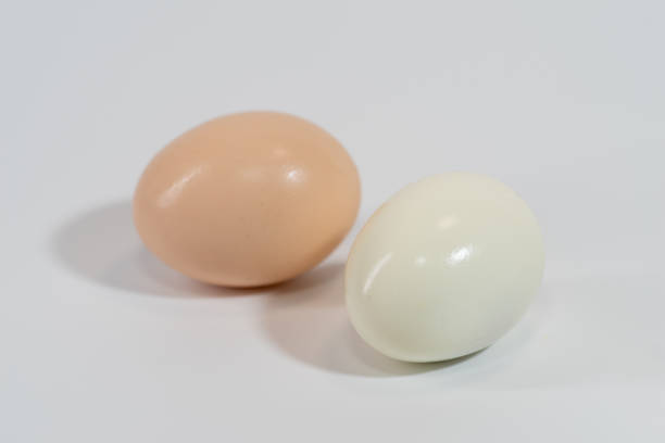 istock Piece of boiled egg. Isolated over white 2151509582