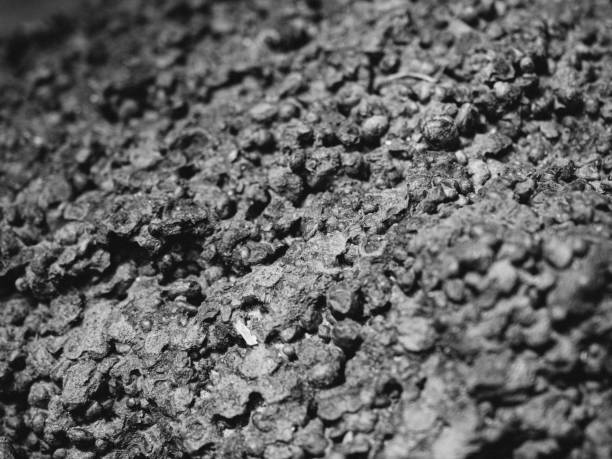 brown stone detail