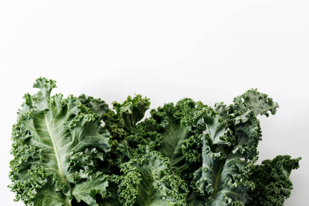 istock Fresh green Kale leaf salad vegetable on white background 2151516806