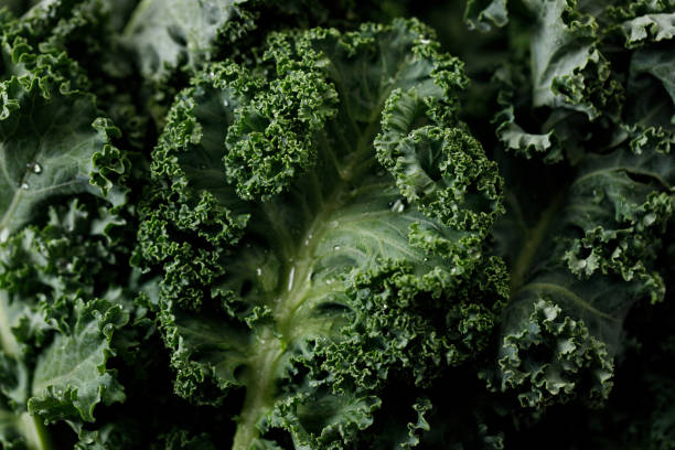 istock Fresh green Kale leaf with water drops background 2151516824
