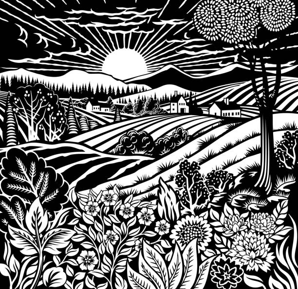 Rolling hills, fields and farm or vineyards background illustration. Wild flowers, plants in foreground. Forests, mountains in background. In intage retro woodcut or lino print or linoleum cut style