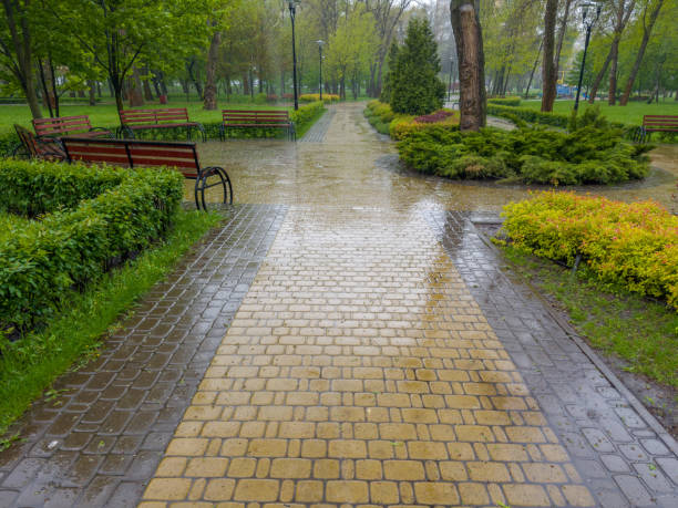 istock Alley with wet paved footpath in spring park during rain 2151519539